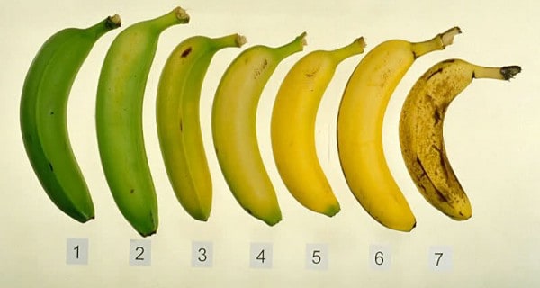 A képen látható 7 banán közül tudod melyik a legegészségesebb?