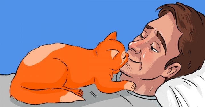 Íme 13 módja annak, ahogy a macskád azt mondja neked: „Szeretlek”