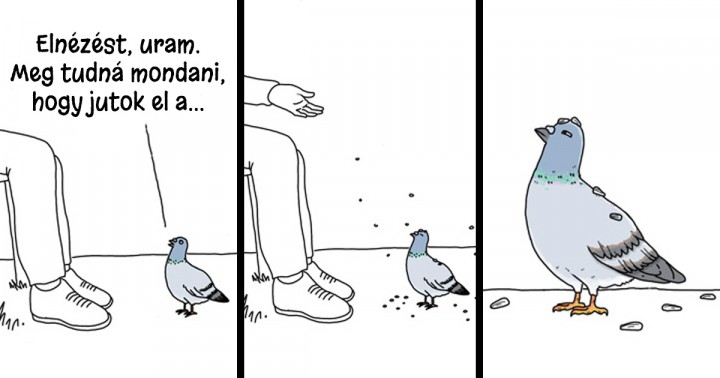 Ez a 14 rajz megmutatja, hogy milyen lenne a világ, ha a madarak tudnának beszélni