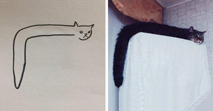 A tanárod azt mondta, hogy nem tudsz macskát rajzolni? Mutasd meg neki ezeket a képeket