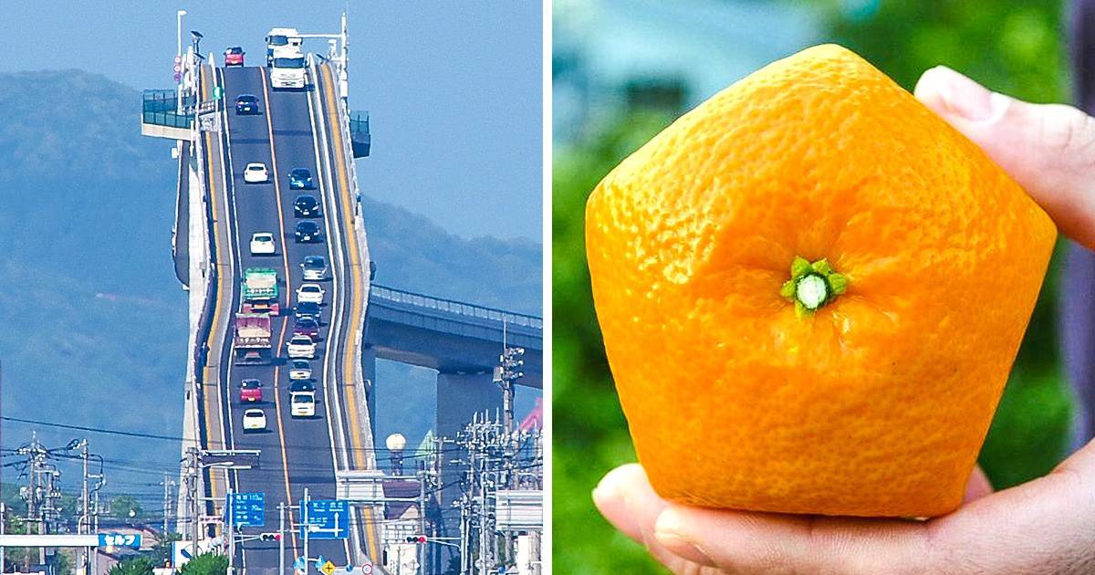15 különleges dolog Japánból, ami bizonyítja, hogy száz lépéssel a többi ország előtt járnak
