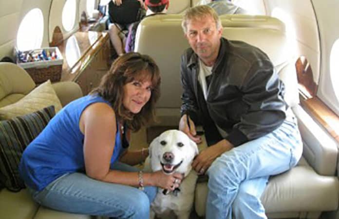 Kevin Costner repülővel menti az altatás előtt álló kaliforniai kutyákat
