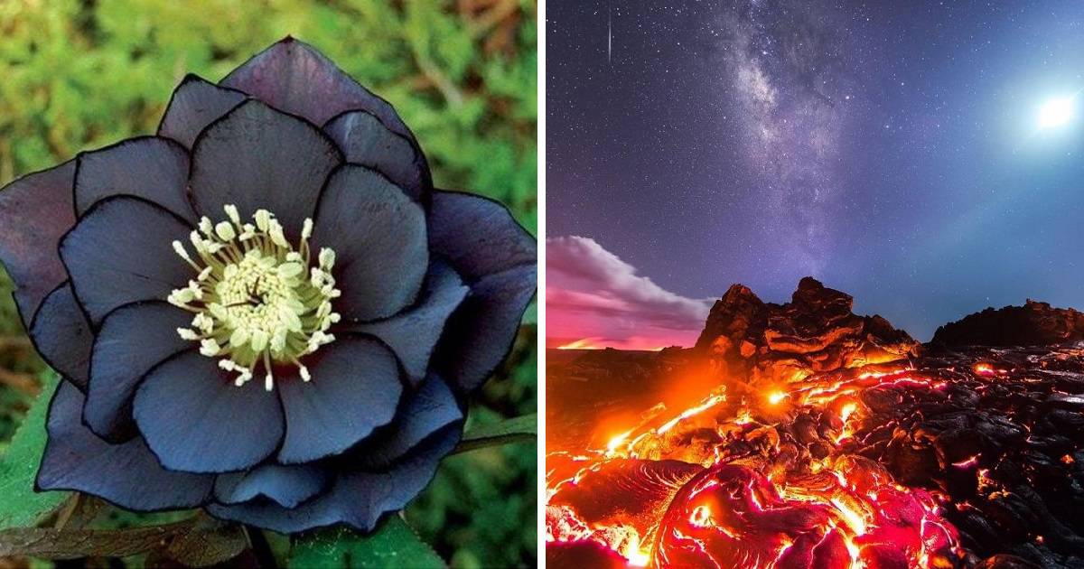 15 fotó, ami bizonyítja, hogy a bolygónk egy lenyűgöző hely