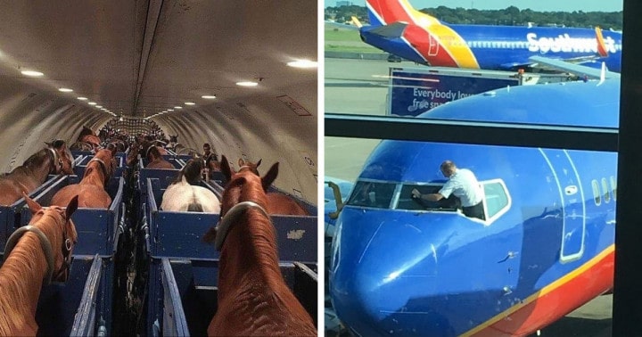 Az internetezők megosztották, hogy milyen váratlan pillanatokkal találkoztak repülés alatt
