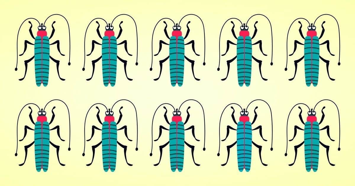 Egy teszt annak megállapítására, hogy képes vagy-e megtalálni egy másik színű bogarat a többi között