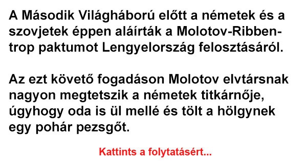 Molotov elvtárs