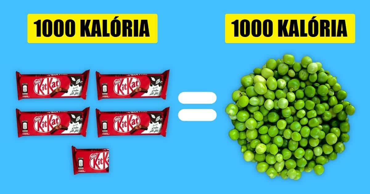 Hogyan néz ki 1000 kalória a különböző ételekben